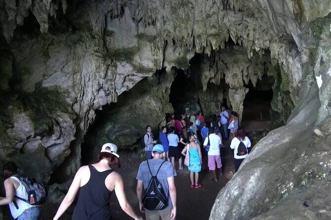 10-Hour Guided Tour of Samana and Bacardi Island Los Haitises - Price and Value: Is $130 Worth It for a Full 10 Hours?