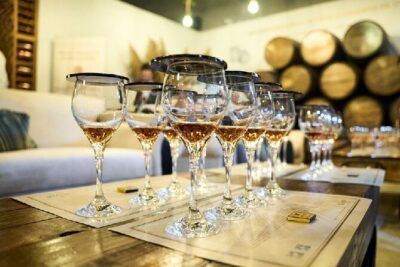 100% Caribbean Rum Tasting in Punta Cana. - Pairings: Cheese, 70% Chocolate, and the Flavor Training Effect