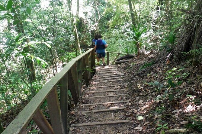 27 Waterfalls of Damajagua – Adventure Tour from Puerto Plata - What you actually get for $75: value that isn’t just marketing