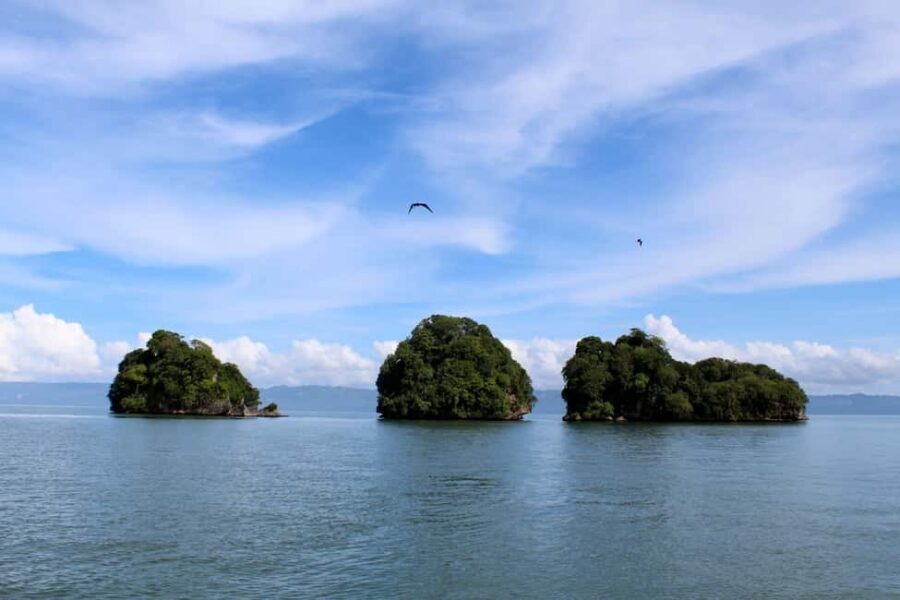 2in1: Los Haitises National Park + Yanigua Waterfall-SPA - Tarzan’s Treehouse and the Blue Amber Zone Stop