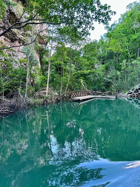 2in1: Los Haitises National Park + Yanigua Waterfall-SPA - Cacao and Chocolate Show: How Chocolate Gets Made