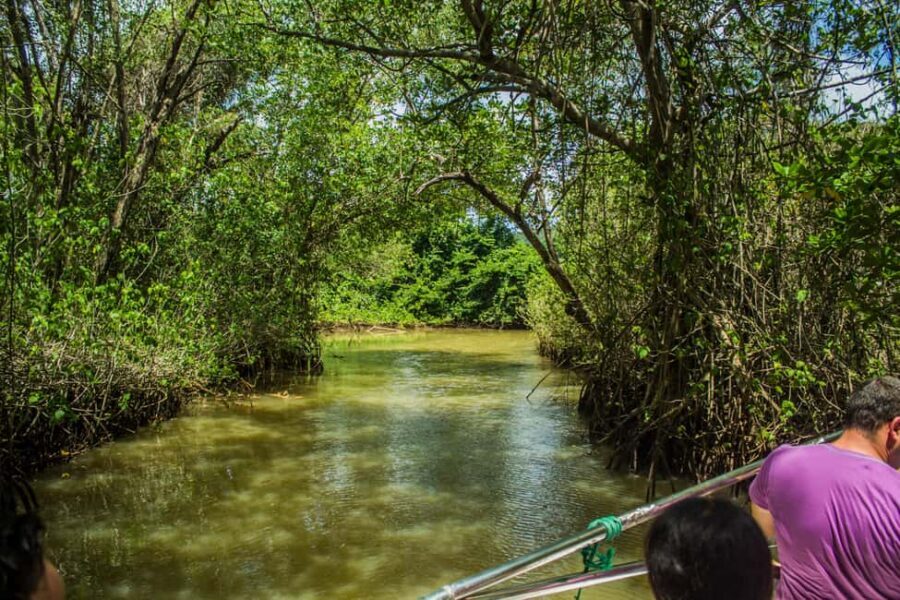 2in1: Los Haitises National Park + Yanigua Waterfall-SPA - Los Haitises National Park: Jurassic Park Jungle and Mangrove Sailing