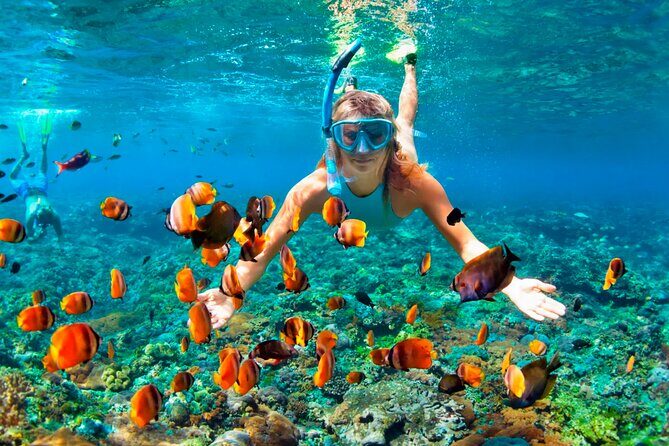3 hrs Glass Boat Tour in Punta Cana - Pickup, Mobile Tickets, and Avoiding the Usual Punta Cana Headaches