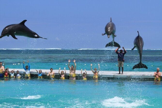 3 hrs Glass Boat Tour in Punta Cana - Who This Glass Boat Tour Is Best For