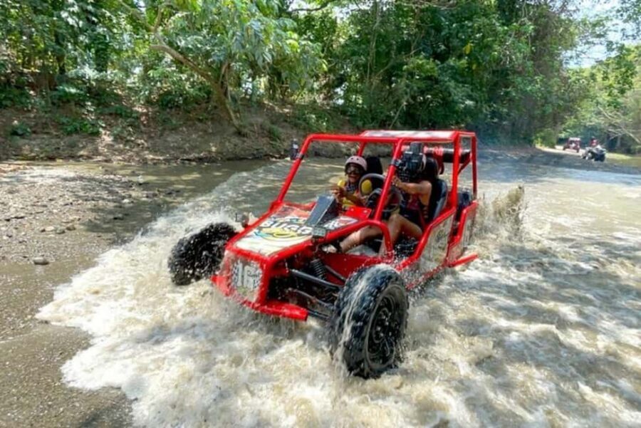 3x1: Monkeyland Damajagua Falls & Buggy Tour Puerto plata - Timing, pickup, and how the day actually flows
