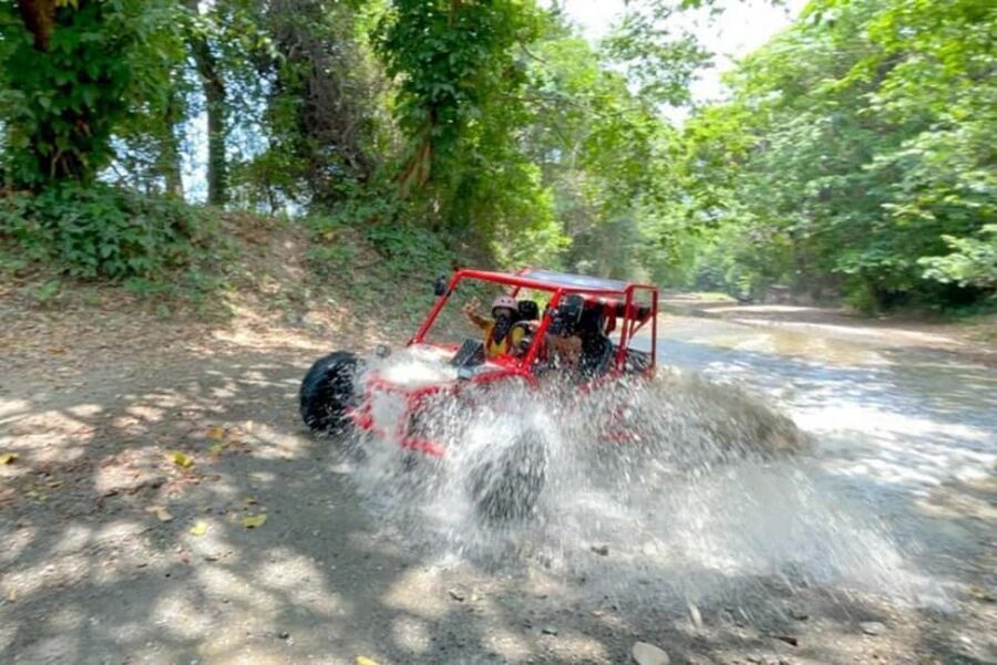 3x1: Monkeyland Damajagua Falls & Buggy Tour Puerto plata - Guide quality and why names matter here