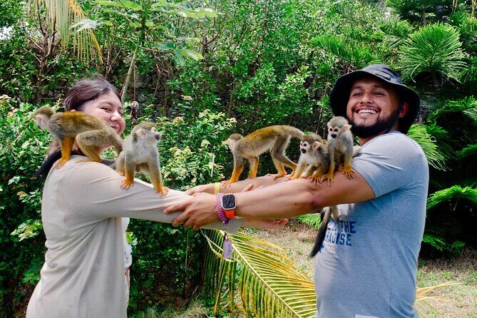 3x1: Monkeyland Waterfalls and Buggy Tour Puerto Plata - A 3-in-1 Puerto Plata day that stays busy (in a good way)