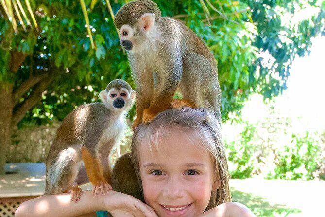 3x1: Monkeyland Waterfalls and Buggy Tour Puerto Plata - Included value: transport, entry, gear, and bottled water