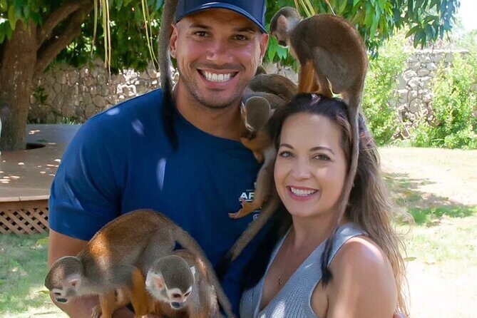 3x1: Monkeyland Waterfalls and Buggy Tour Puerto Plata - Price check: does $195 feel fair for this mix?