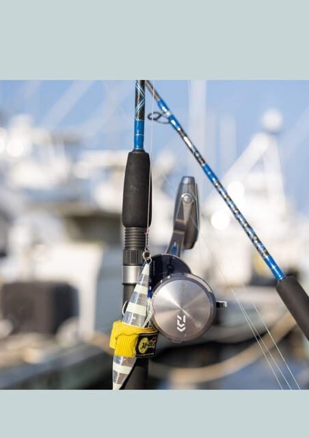 4 hour deep sea fishing experience from punta cana - Boat comfort, seasickness, and the reality of diesel smell