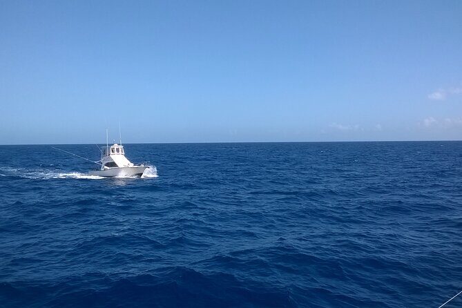 4 Hour Punta Cana Fishing Tour - From Your Hotel to the Base: How the Day Actually Feels