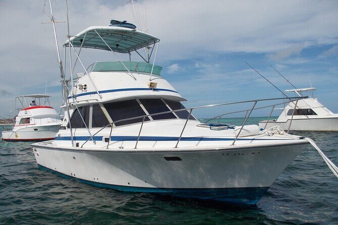 4 Hour Punta Cana Fishing Tour - How Good Fishing Days Differ From Slow Ones