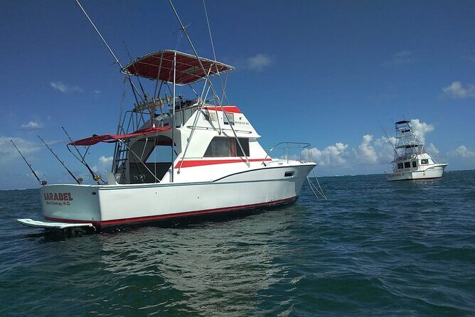 4 Hour Punta Cana Fishing Tour - Price and Value: Is $89 Worth It?