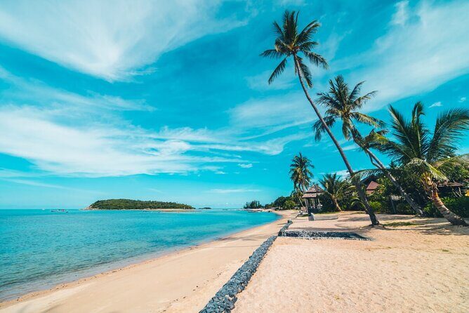 4x4 Adventure Tour, Mountains and Paradise Beaches with Food - Morning Pickup and Timing: 8:30 Start, Don’t Count on It Being Short