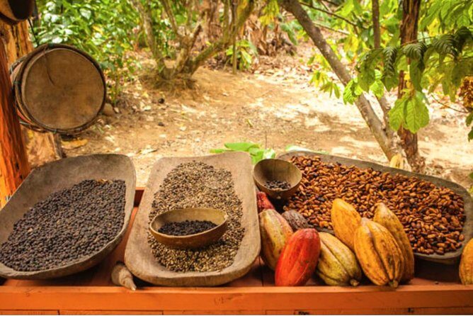 4x4 Dominican Adventure with Chocolate and Coffee Tasting - From pickup van to Rancho Quad Bike: how this ATV day runs