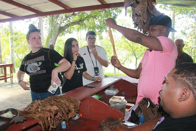 5 Tours of Jungle and Dominican Culture with Lunch - Logistics that can make or break your day