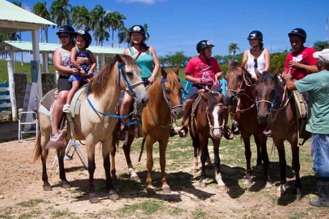 8-Hour Tour Enjoying the Dominican Culture Through the Countryside - A Morning Into Real Punta Cana Countryside Life