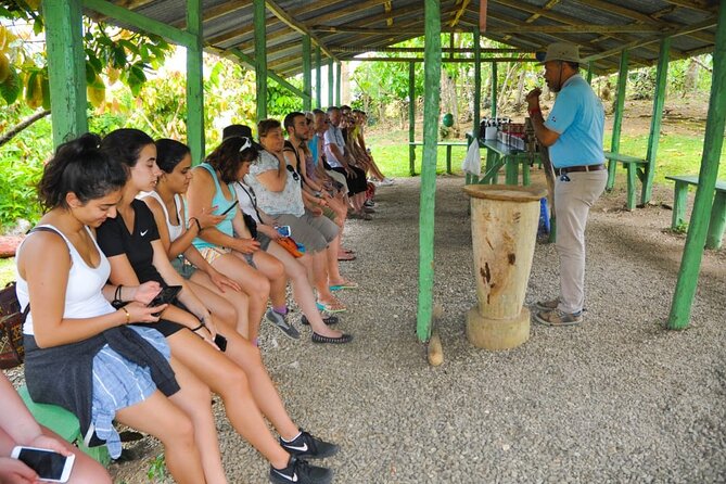 8-Hour Tour Enjoying the Dominican Culture Through the Countryside - Salto De Anamuya River: Swim Time That Changes the Day