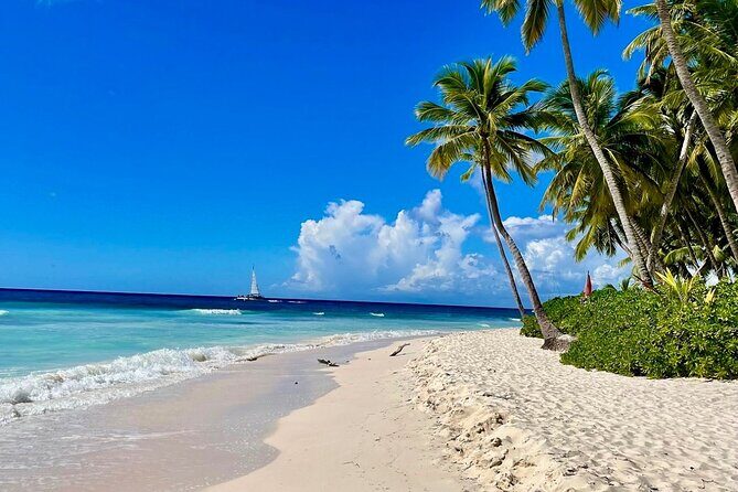 A Magical Day on Saona Island - Quick highlights worth planning for