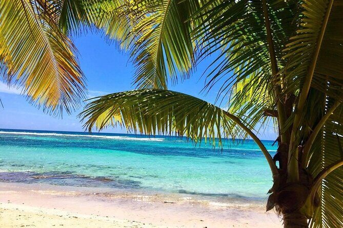 A Magical Day on Saona Island - Price and value: is $76.50 a good deal?