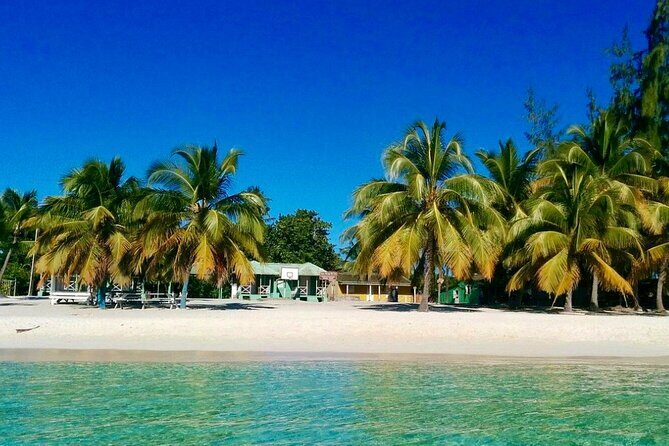 A Magical Day on Saona Island - Private tour setup: how that changes the feel