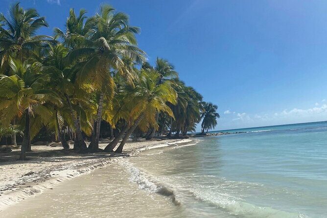 A Magical Day on Saona Island - Getting from Bávaro to Bayahíbe with hotel pickup
