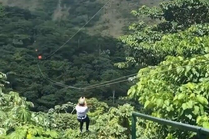 Adrenaline Total: Zipline Tour in Punta Cana - The zipline course: towers, heights, and that 100-meter suspension bridge