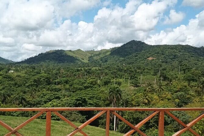 Adrenaline Total: Zipline Tour in Punta Cana - Optional park time: horses, buggies, ATV, and more