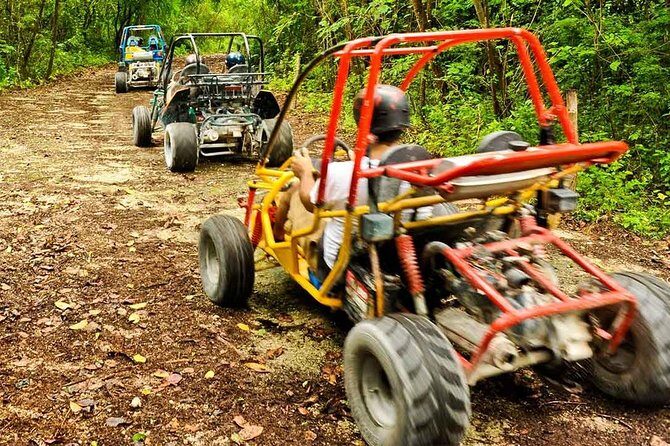 Adventure Buggies at Macao Beach - The core itinerary: coast driving, dune-buggy fun, and a swim