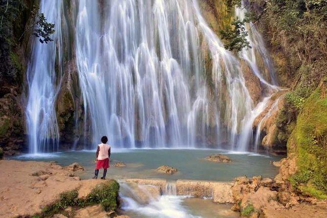 Adventure in the bay of samana and waterfall El limon from punta cana - Key highlights worth planning for