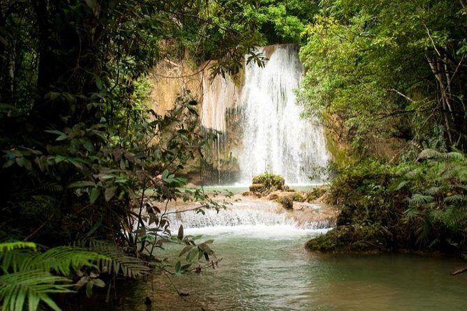 Adventure in the bay of samana and waterfall El limon from punta cana - Why this Samaná day tour feels like a best-of nature combo