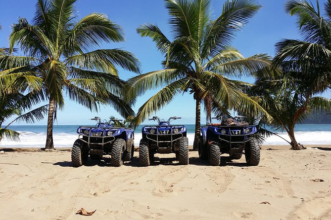 Adventures pure, in ATV come and enjoy with us the beaty of samana Dom Rep - The plantation-and-family-home stop: culture you can ask about