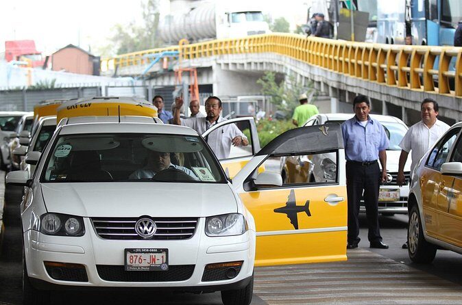 Airport Pick Up - Private Transport Service - Who This Transfer Fits Best in Punta Cana