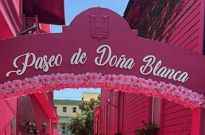 Airport Transfer From Santiago to Puerto Plata one way - Practical Tips to Make Your Pickup Even Easier