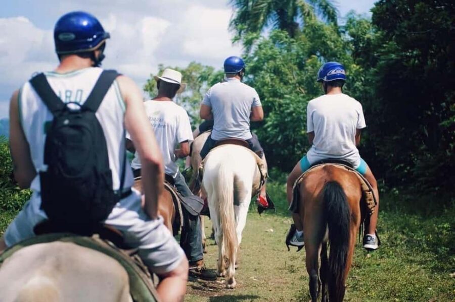 All-Inclusive Day Trip from Punta Cana: DR Culture Immersion - Plantation tastings: coffee, cacao, and sugar cane with a real-world purpose