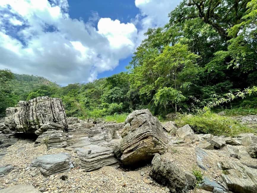 All-Inclusive Day Trip from Punta Cana: DR Culture Immersion - A farmer’s family visit: home life, work, and food you actually remember