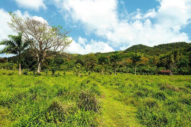 Anamuya Mountains Small Group Walking Tour - Why this walk beats the usual Punta Cana excursions