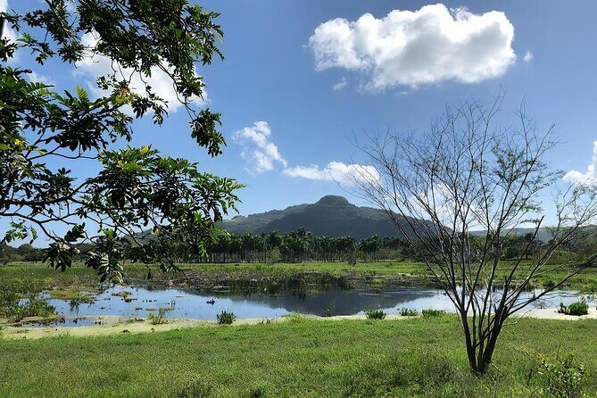 ATV and Horse Riding in Puerto Plata / Shore Excursion & Hotel - Transfers, timing, and how this tour fits your free afternoon