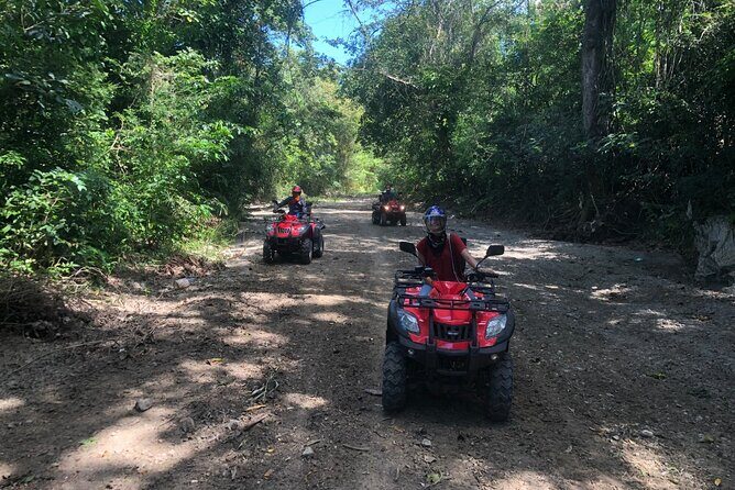 ATV N Zip: 8 Zip Lines plus ATV's - Price and Value: Why This Combo Works at $124.99