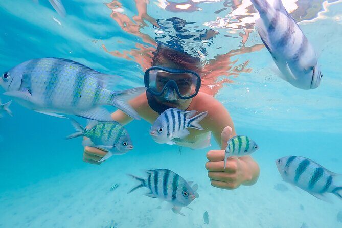 Bacardi Island Excursion with Catamaran, Beach and Lunch - Key things to know before you go