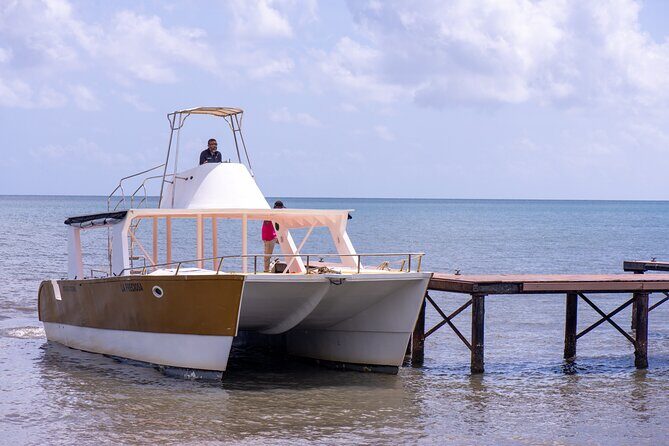 Bacardi Island Excursion with Catamaran, Beach and Lunch - Practical Tips for an 11–12 Hour Beach Day
