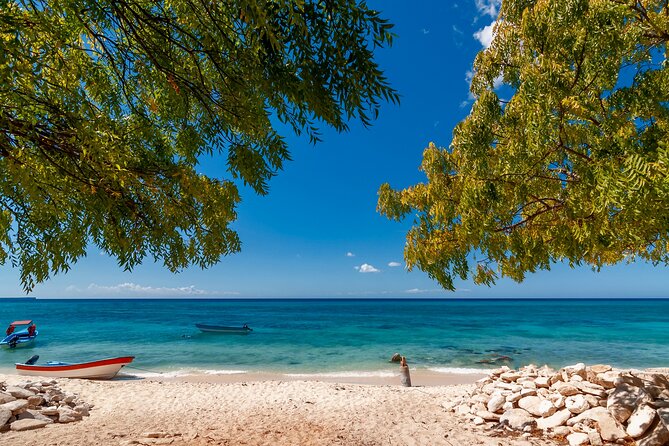 Bahía de las águilas glamping experience from Santo Domingo - Key highlights worth your attention