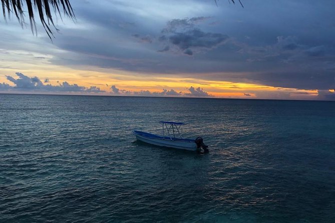 Bahía de las águilas glamping experience from Santo Domingo - Your glamping night near Bahía de las Águilas: rustic, but with comfort