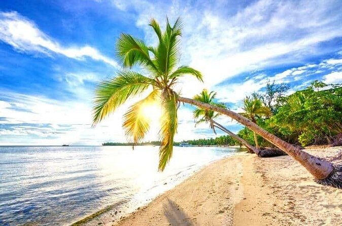 Barceló Bávaro Palace - Round Trip Shuttle - Punta Cana Airport - Should You Book This Private Round-Trip Shuttle?
