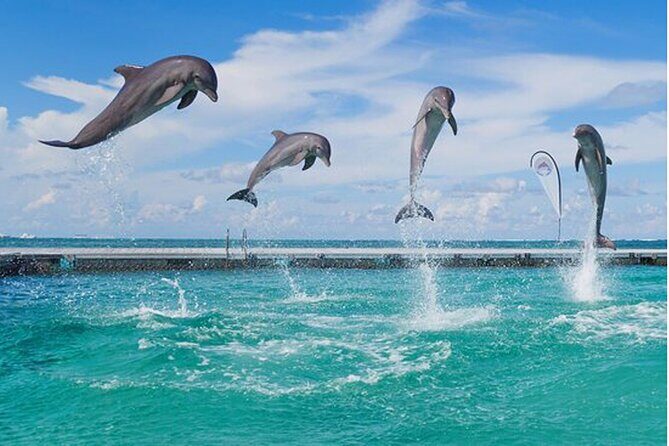 Bavaro Punta Cana EN boat party with drinks and transportation - Safety and Comfort: What You Can Expect on the Water