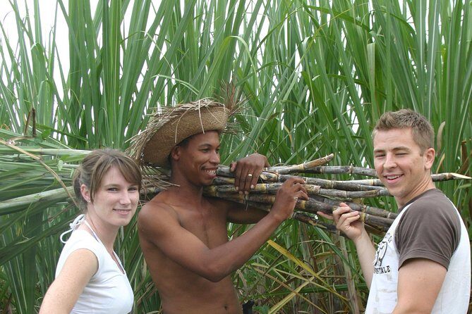 Bayaguana Countryside Safari from Juan Dolio/Boca Chica - Key Highlights You’ll Notice Right Away