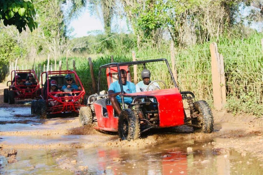 Bayahibe: ATV 4X4 or Buggy & Horseback Ride from La Romana - The typical house tastings: coffee, chocolate, vanilla, cigars, mamajuana