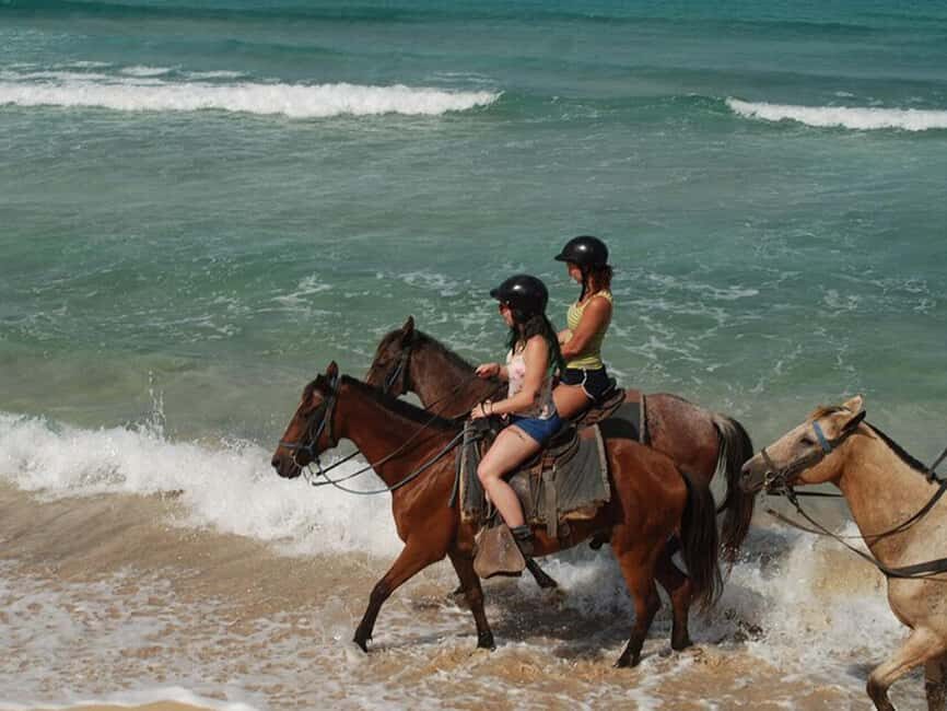 Bayahibe: Buggy and Horseback Riding Tour - Price and value: why $80 can make sense here