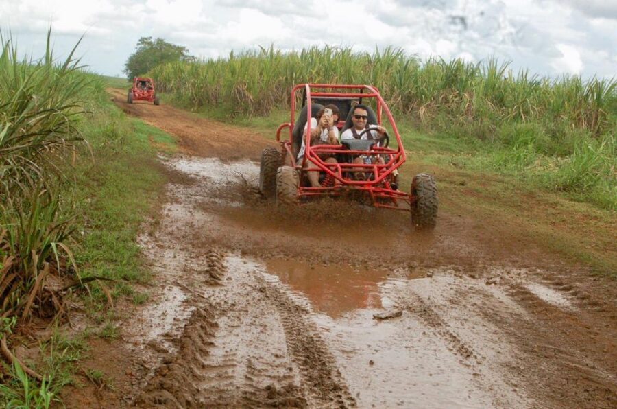 Bayahibe: Buggy tour amazing half-day - Off-road driving reality: speed, mud, and waiting your turn