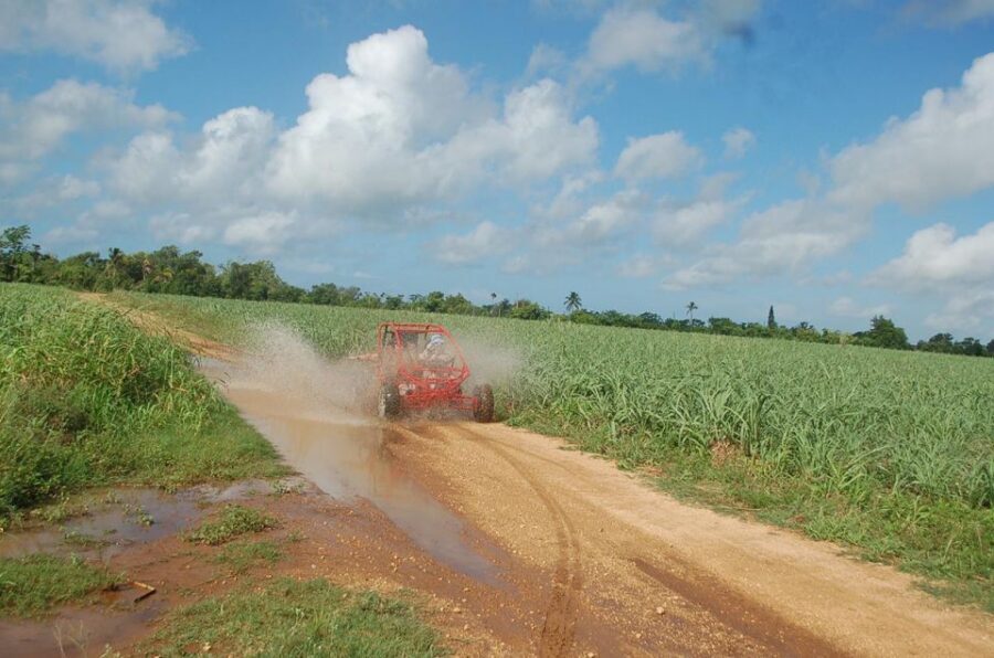 Bayahibe: Buggy tour amazing half-day - Bayahibe bateyes and sugarcane: seeing the cane world up close